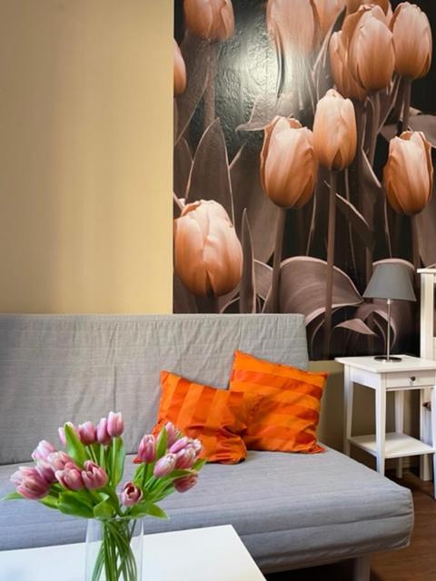 Apartman Galerie Decin Eksteriør bilde