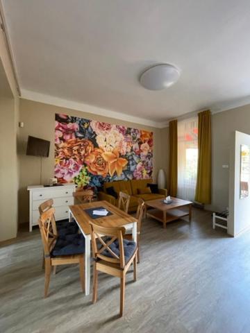 Apartman Galerie Decin Eksteriør bilde